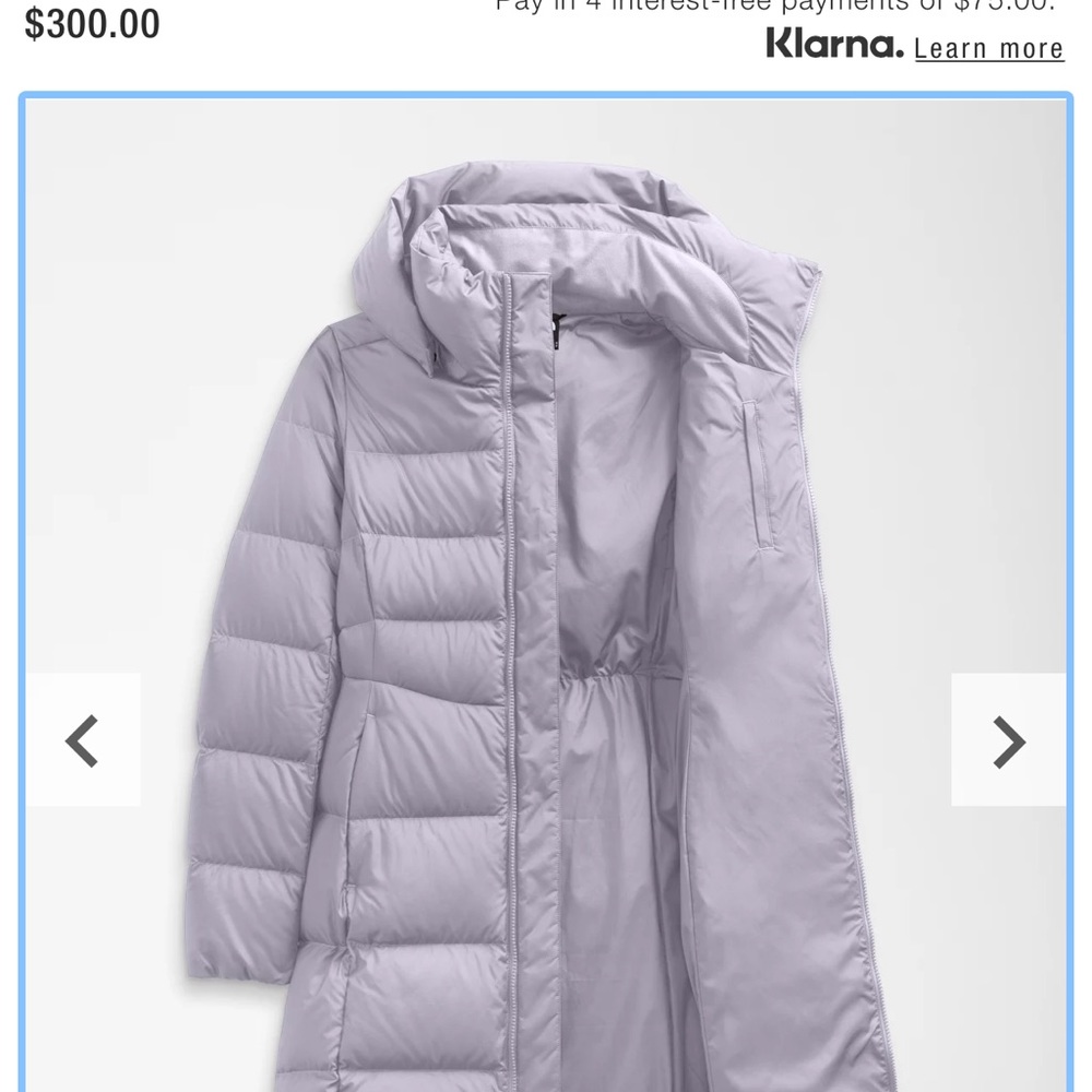 The North Face Insulated Down Parka